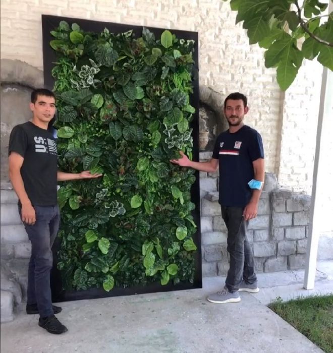 Вертикальное озеленение  растениями и мхом