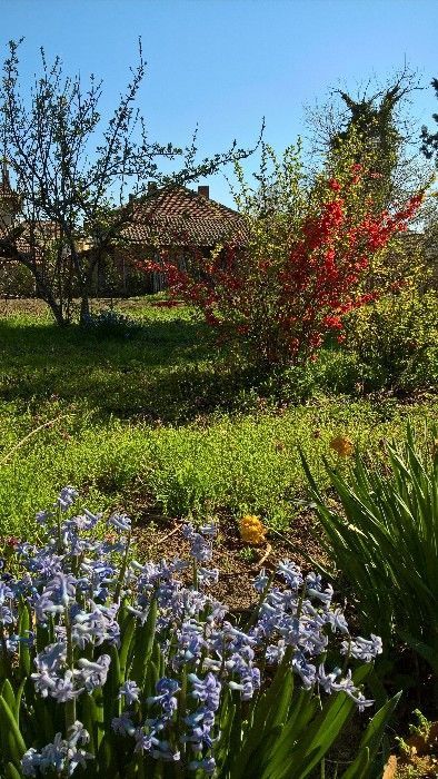 къща,вила, с двор село Бутово област Велико Търново