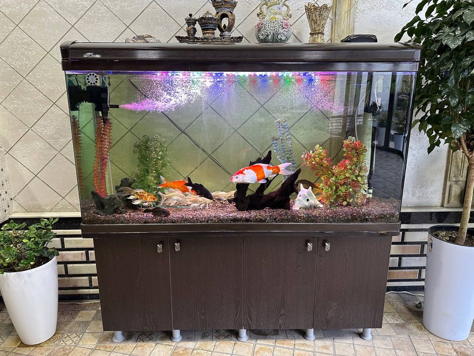 Akvarium sotiladi