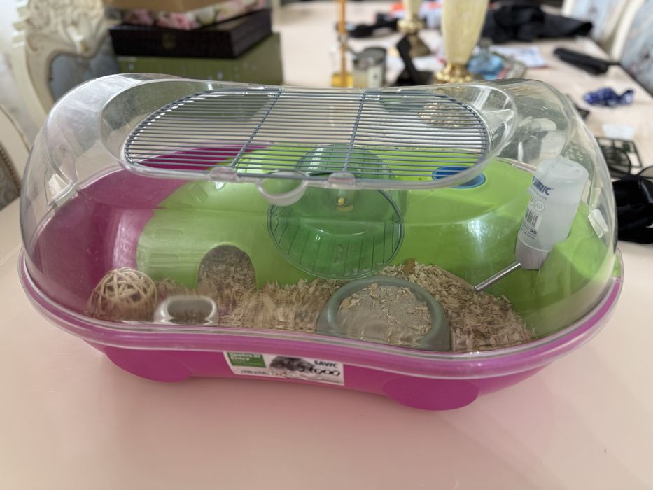 Хомяк с крутым жильем