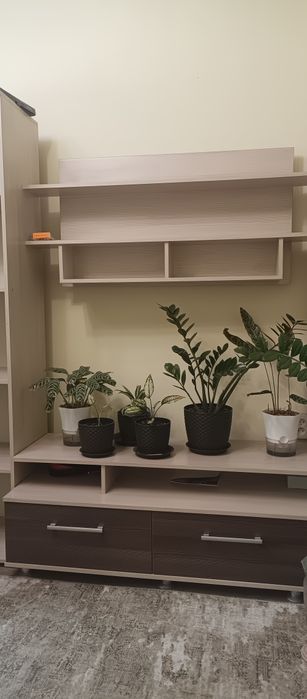 Продается стенка