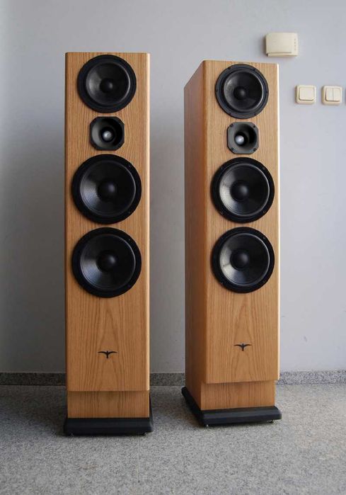 Тонколони Blackswift Audio At Concert !