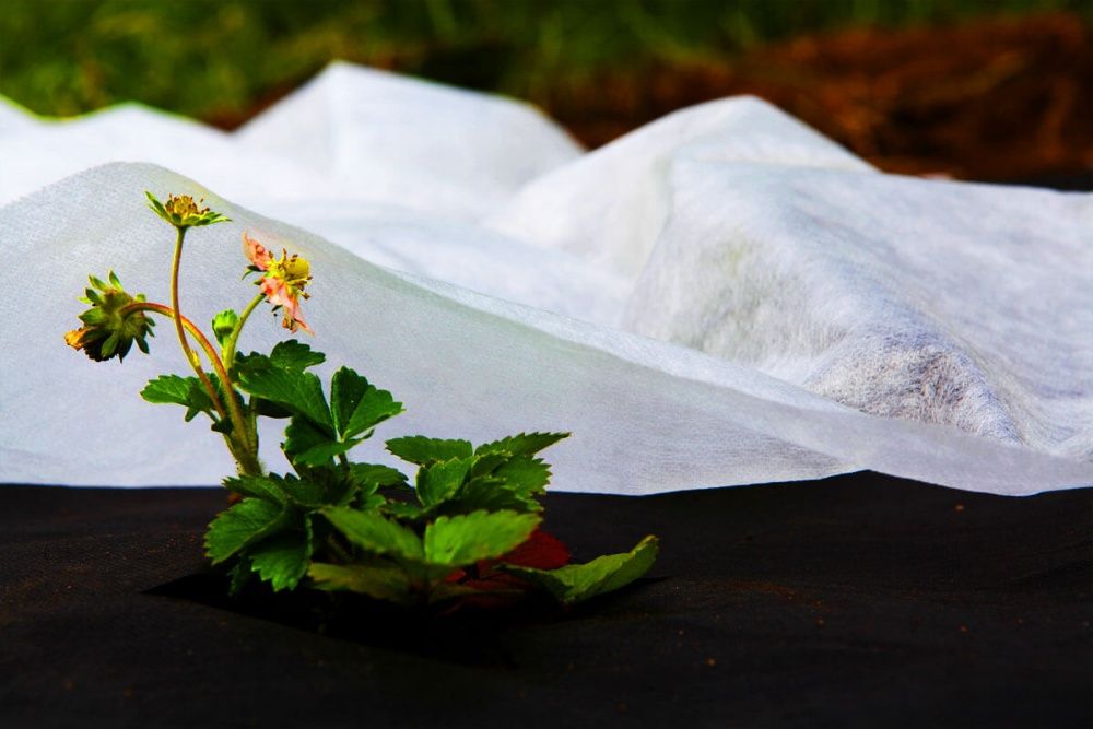 Укрывной Спанбонд 30 для защиты растение от холода, жары и холода