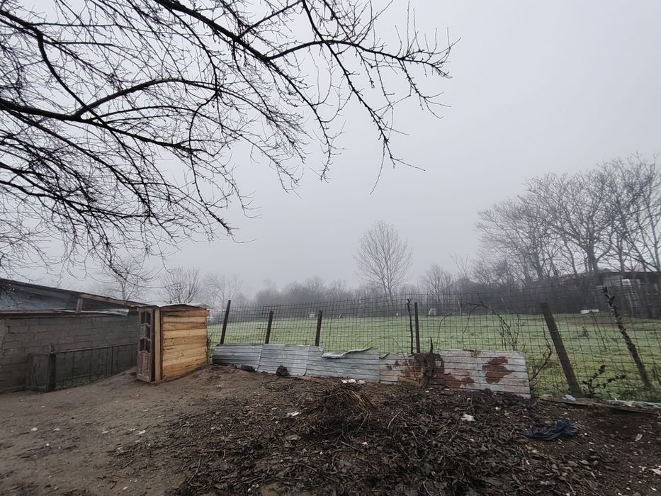 Casă de vânzare Letca Noua