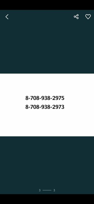 Срочно отдам Кошек