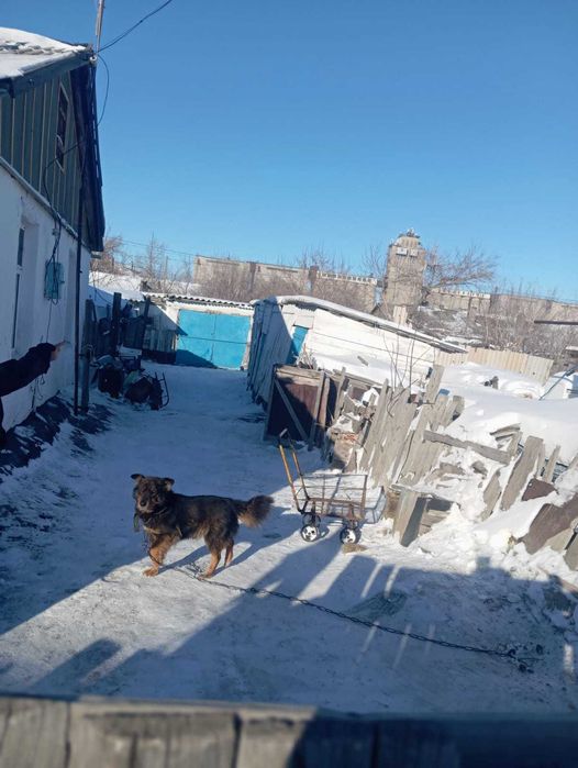 Продам теплый дом, город Есиль, 4 комнаты