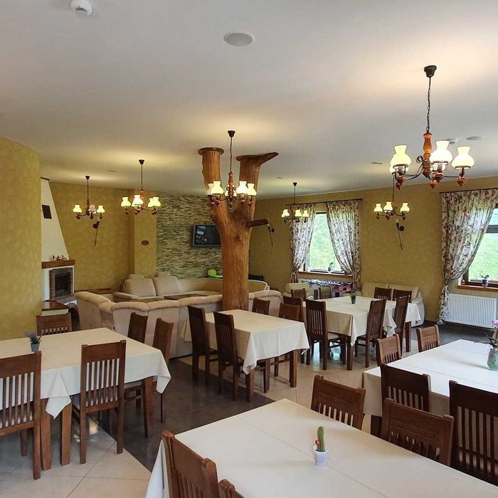 Afacere la cheie - Pensiune turistica 4 margarete 12 camere, Maramureș