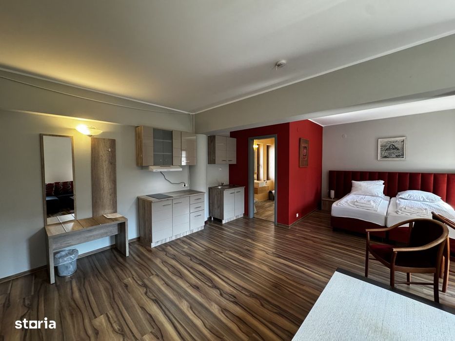 Apartament 1 camera, ideal pentru studenti, langa UVT — fotografia 3