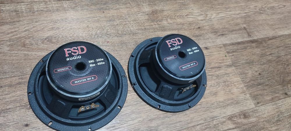Колонки FSD Master WF8