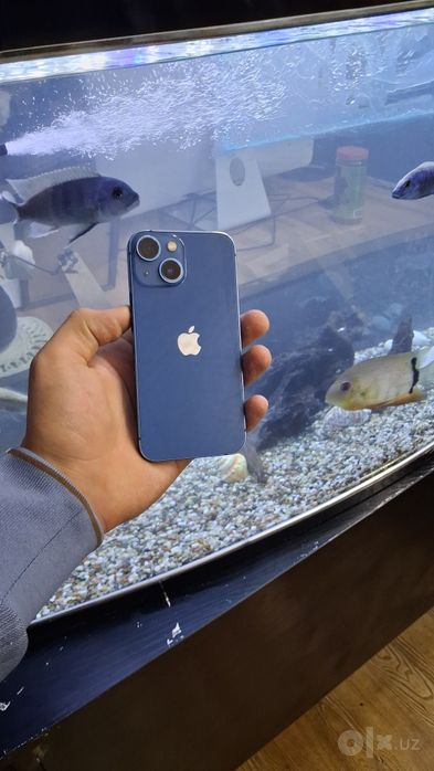 Iphone 13 mini ideal 256gb