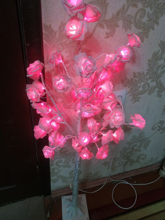 Svitilnik rosa chiroyli