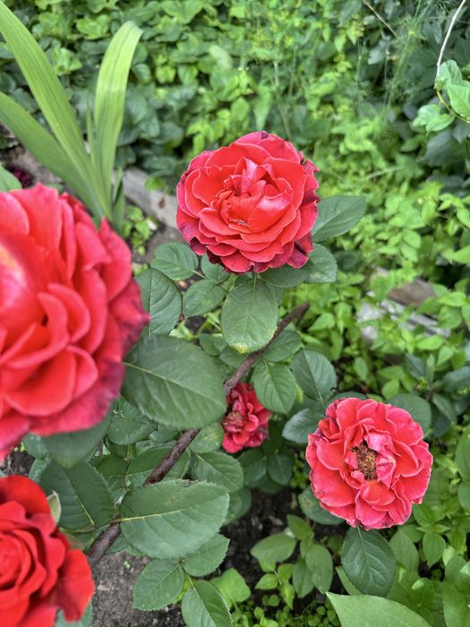 Продается хорошая дача