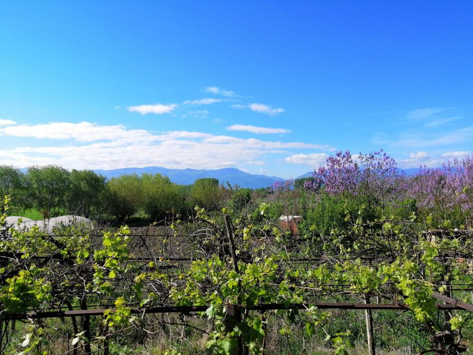 Продава се Къща в с. Говедаре, Област Пазарджик - 140 кв.м за 325 €/кв.м - Снимка #8