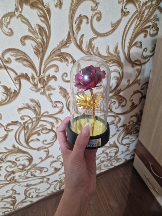 Suprinde-i pe cei dragi