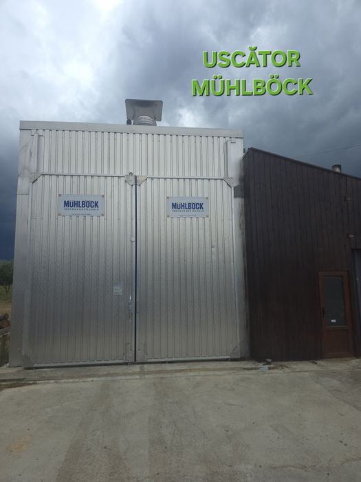 Lambriu rășinoase Alba