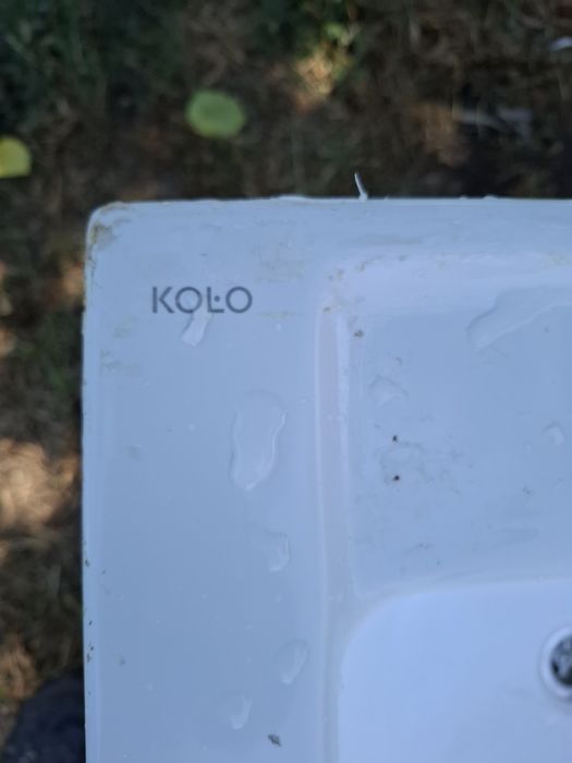 Vând cada Kolo ..