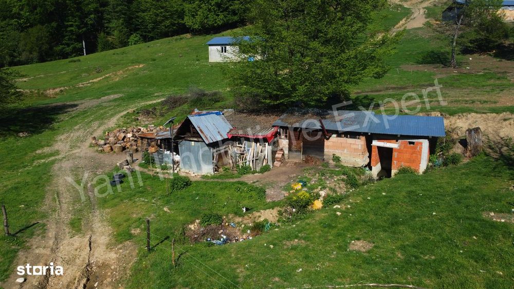 Teren cu stană de vânzare în apropiere de Curtea de Argeș.