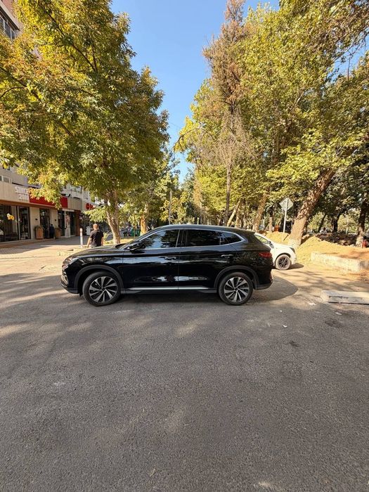 Byd song plus chempion 605