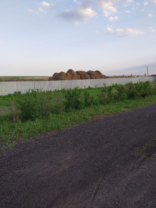 Животноводческое хозяйство