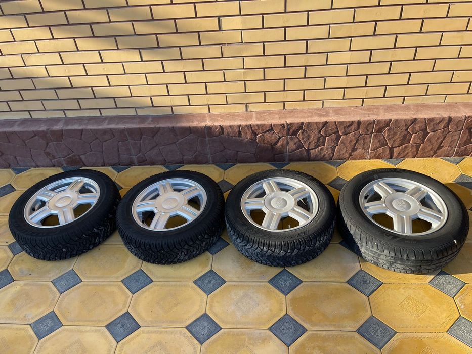 Торус оригинал 14