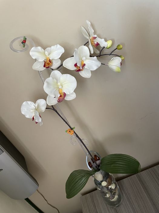 Декорация ваза с цвете