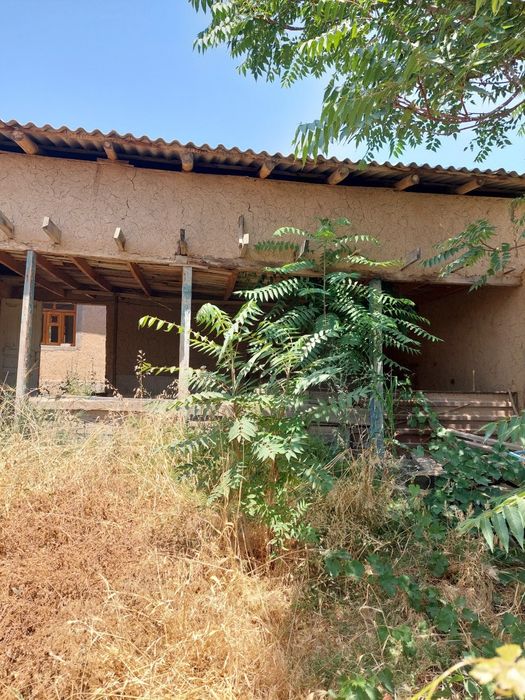 Qibrayda joylashgan 3/5   sotix yol yuzida