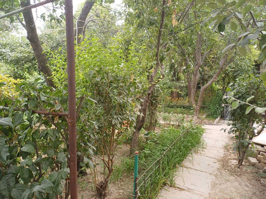 Продаётся дачный участок 6 соток