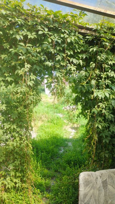 Продам дом в новопавловке