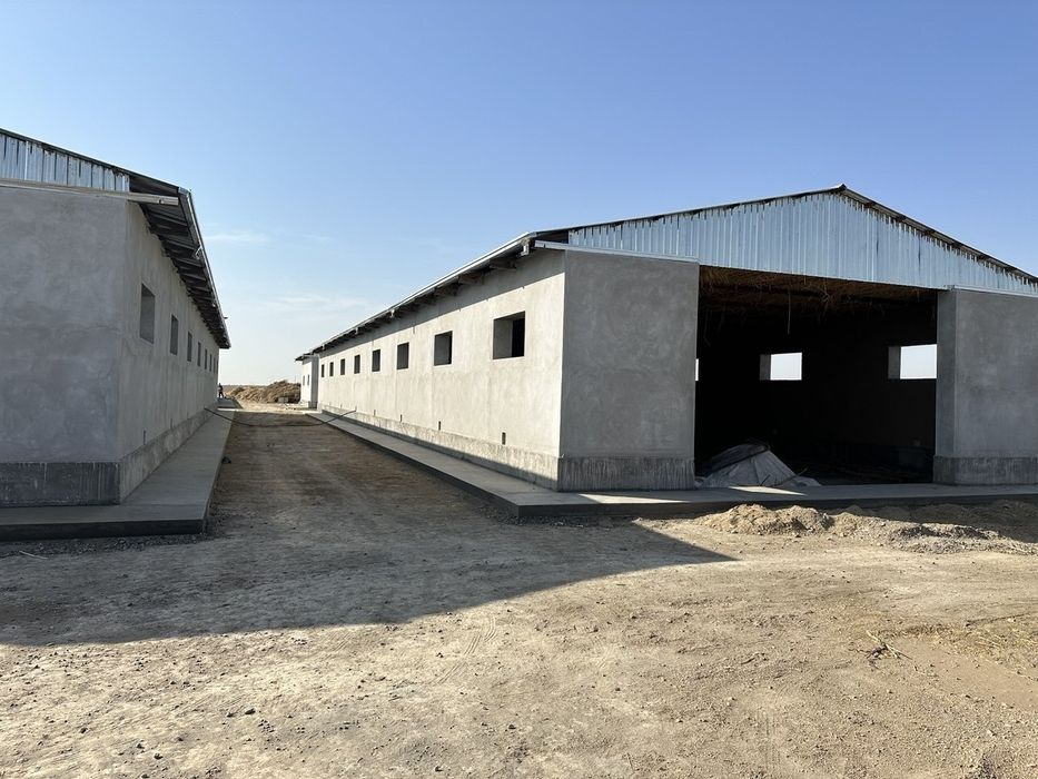 Чорвачилик молхонаси