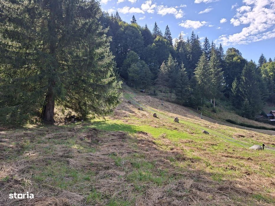 Teren intravilan la munte