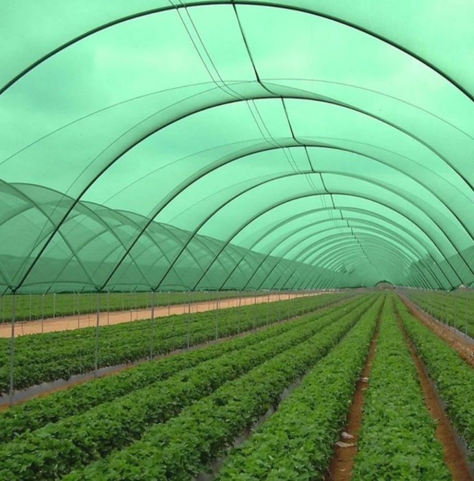 Соя сетка. Солнца защита. Quyosh setka