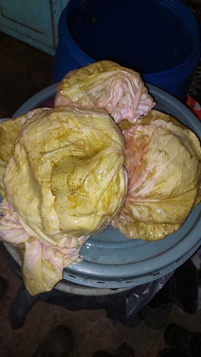 Varza murata de vanzare