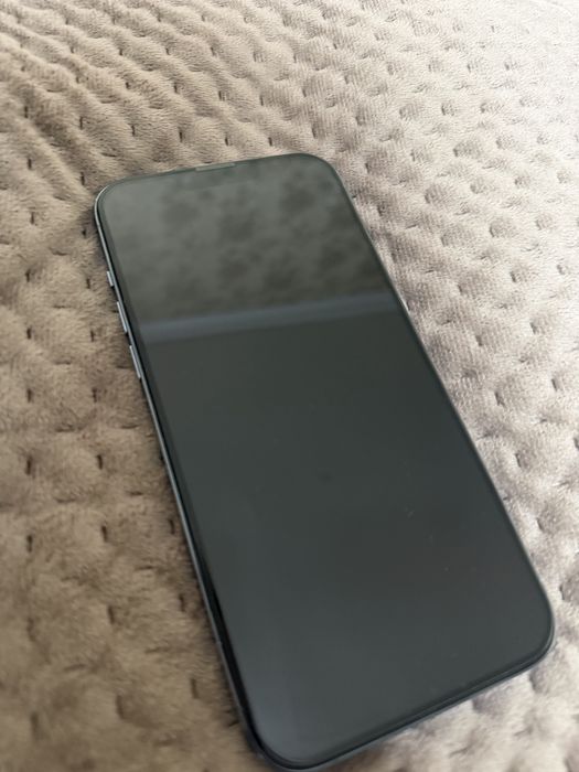 Iphone 13 Pro Max 1TB