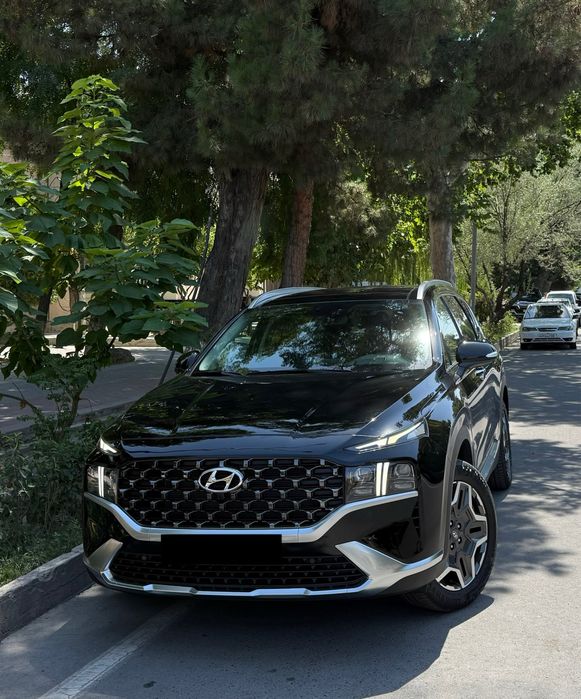 Santafe 2.5 motor full yangi
