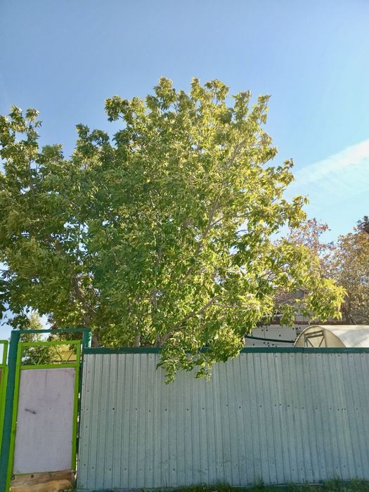 98м2, Кирпичный, 20 соток