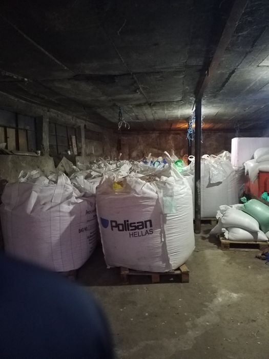 Sfecla de zahar pentru animale‼Porumb