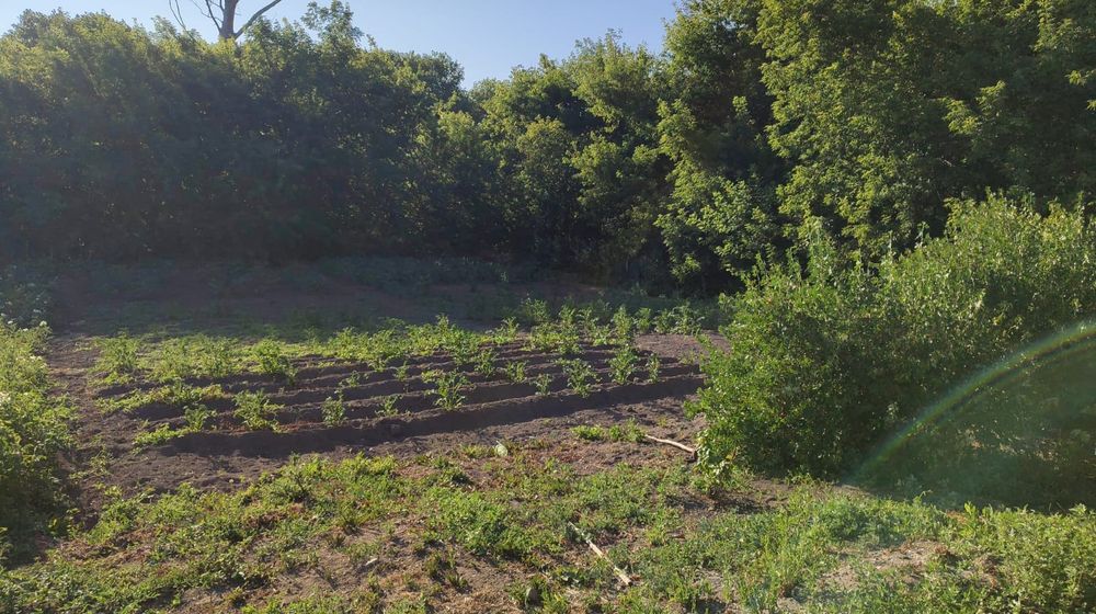 Продам дом в с. Березовка