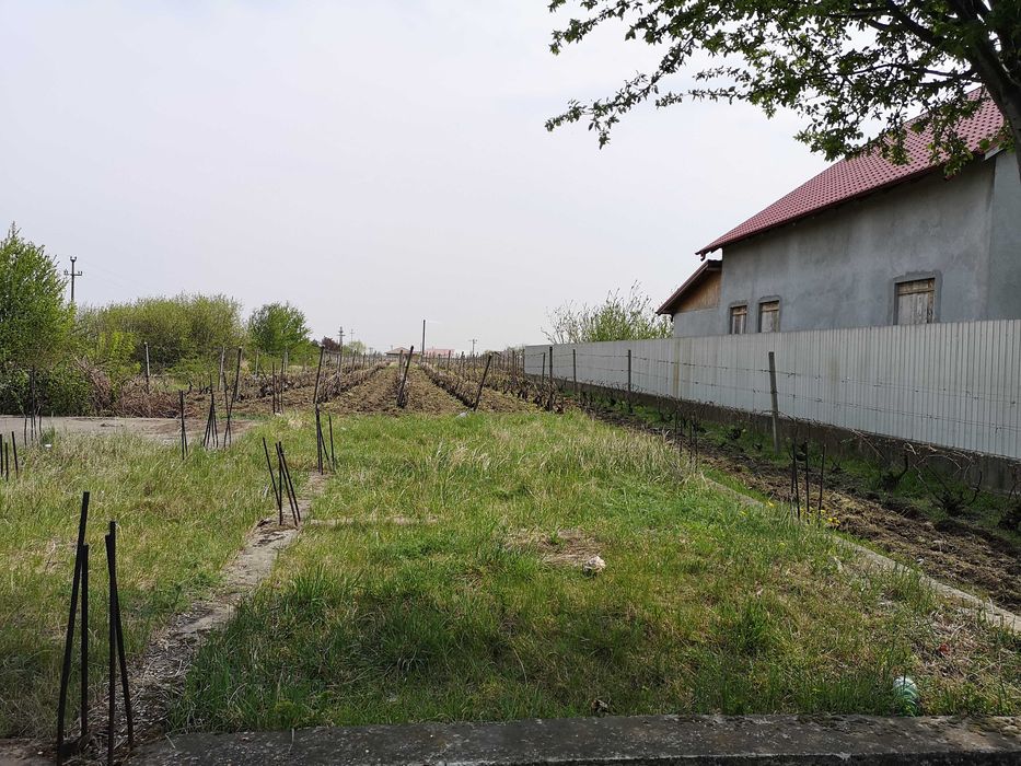 Vand  Teren intravilan 1.500 mp  situat in oras Odobesti - Negociabil