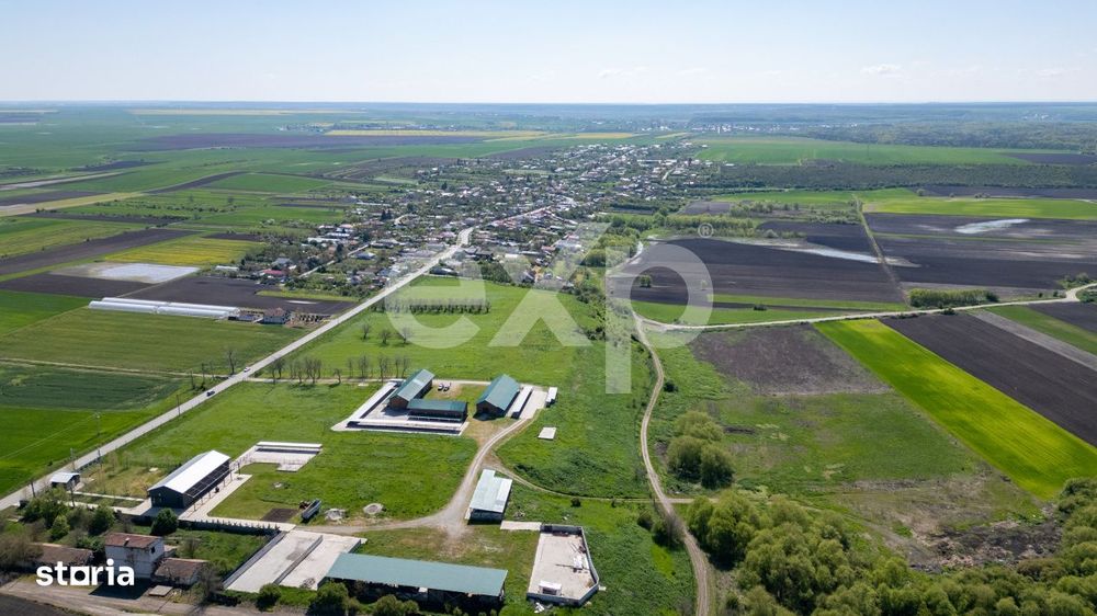 Black Angus Farm with authorized Slaughterhouse