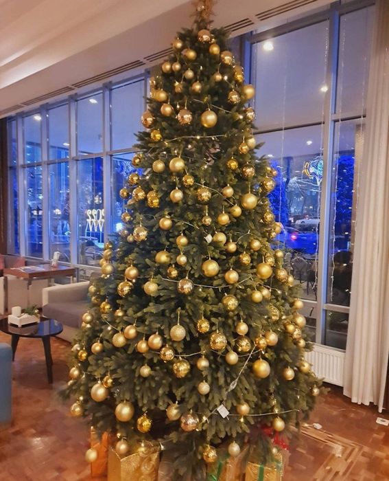 Хаки барокко ёлка лучшая