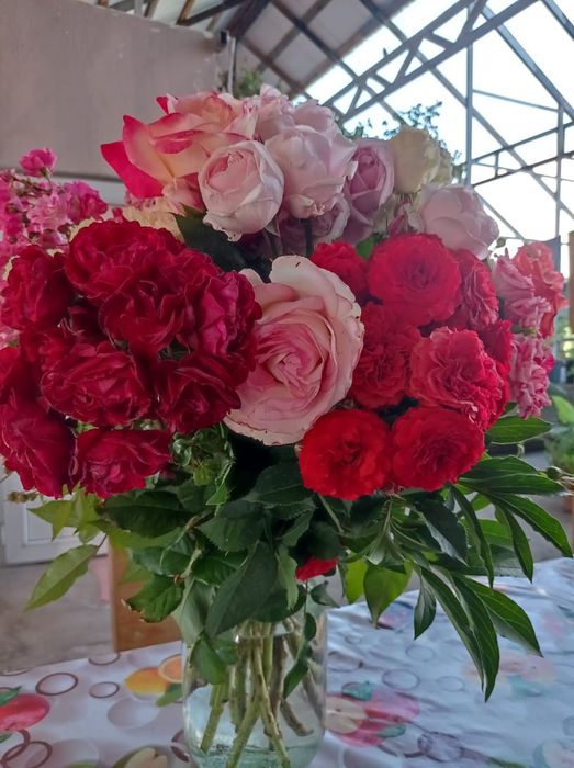 Продам земельный участок