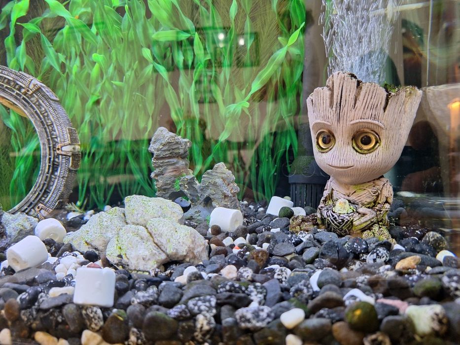 Аквариум RS 800 EF 130л.