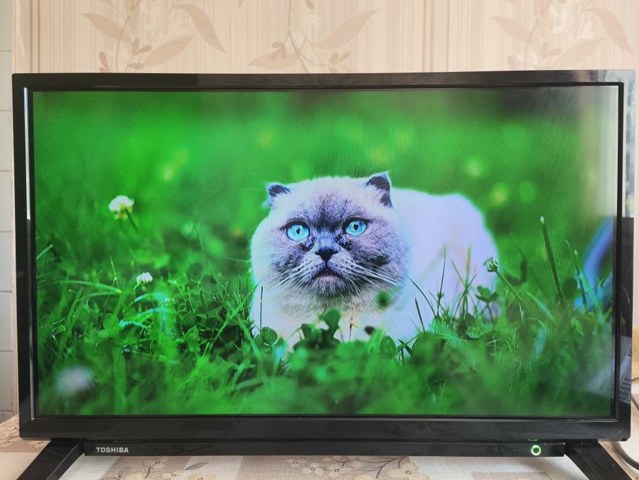 Toshiba 24WA2063DG 24" Smart Android TV - проблем с колонките