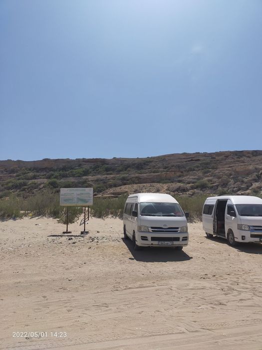 Пассажирские перевозки.