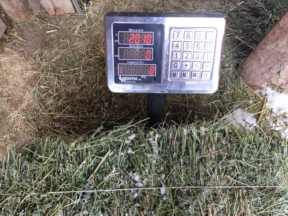 Жоңышқа пресс сатылады