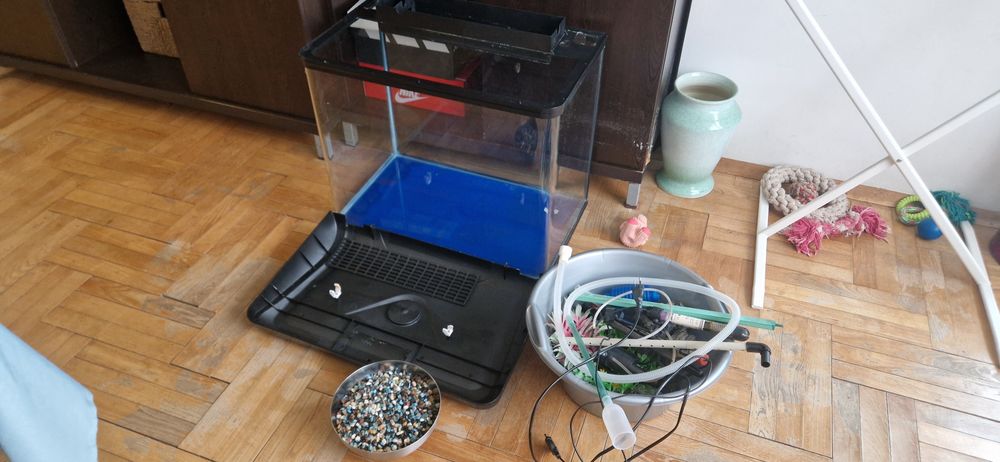 Аквариум. СПЕШНО!!!