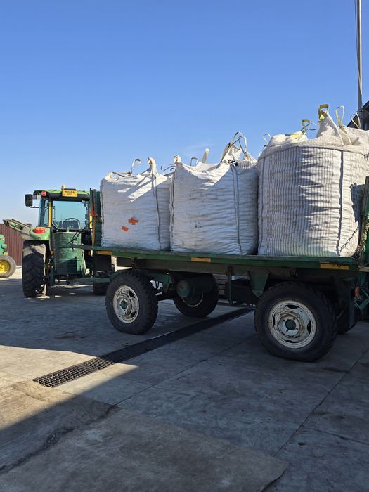 Cartofi sămânță rosu și alb