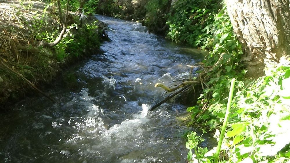 Бизнес учун ер жой