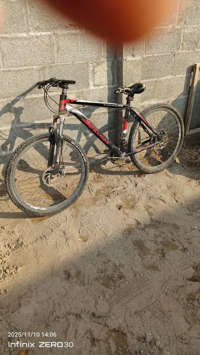 katta velik 3ta aybi bor