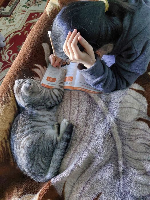 Mushucha kimga kerke boʻsa tel qisin